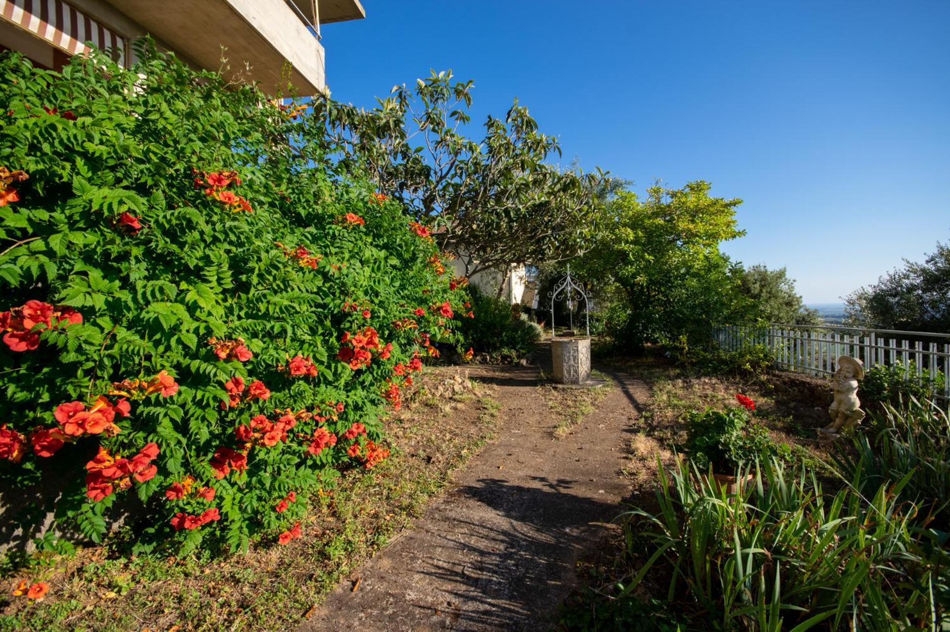 Villa Panoramica Garden Bike マッサ・マリッティマ エクステリア 写真
