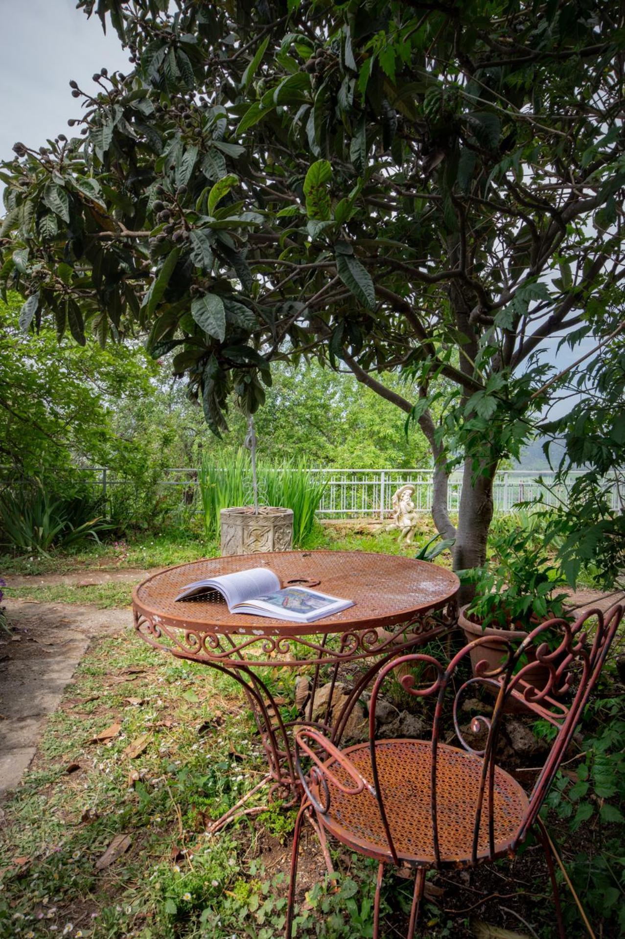 Villa Panoramica Garden Bike マッサ・マリッティマ エクステリア 写真